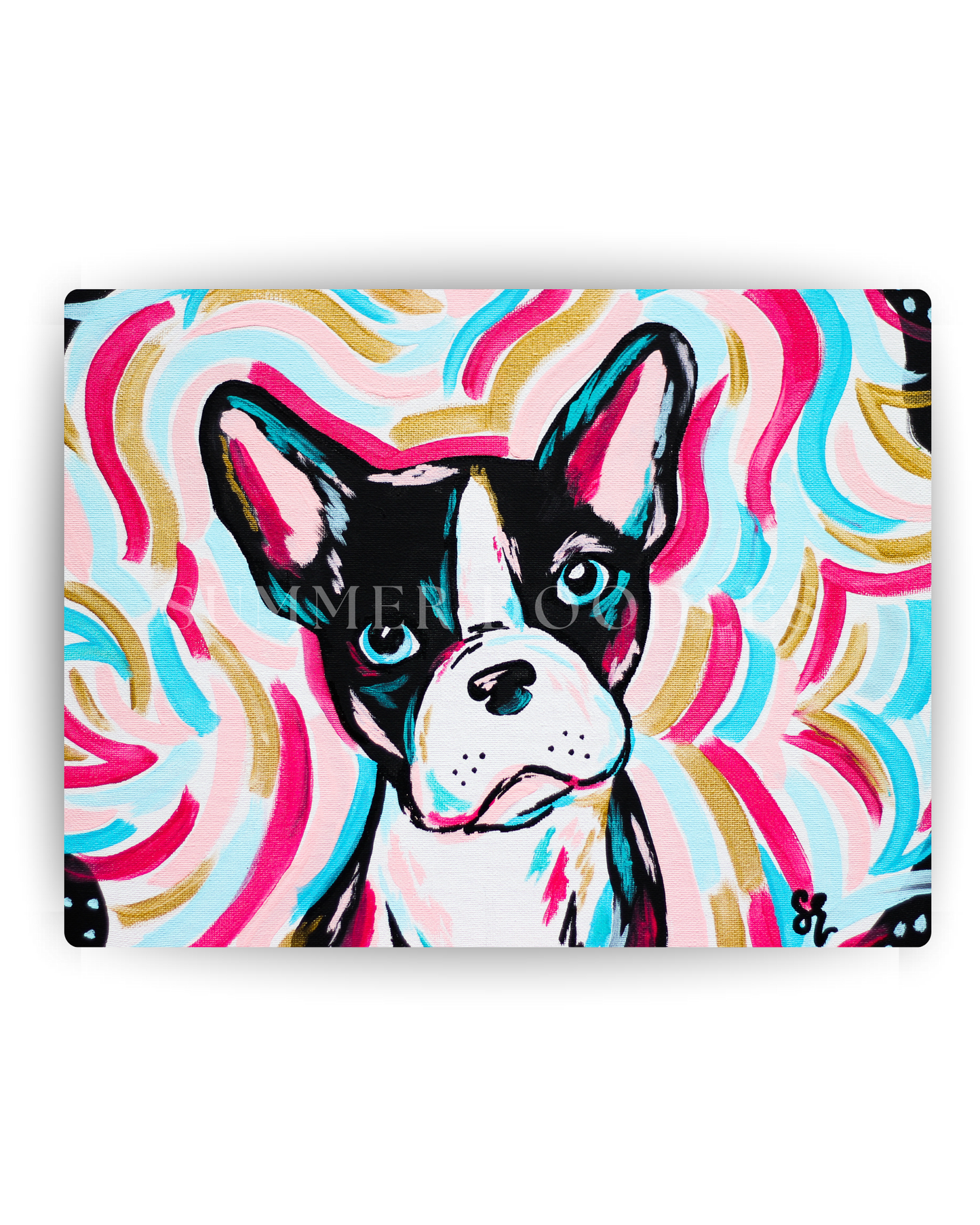 Boston Terrier