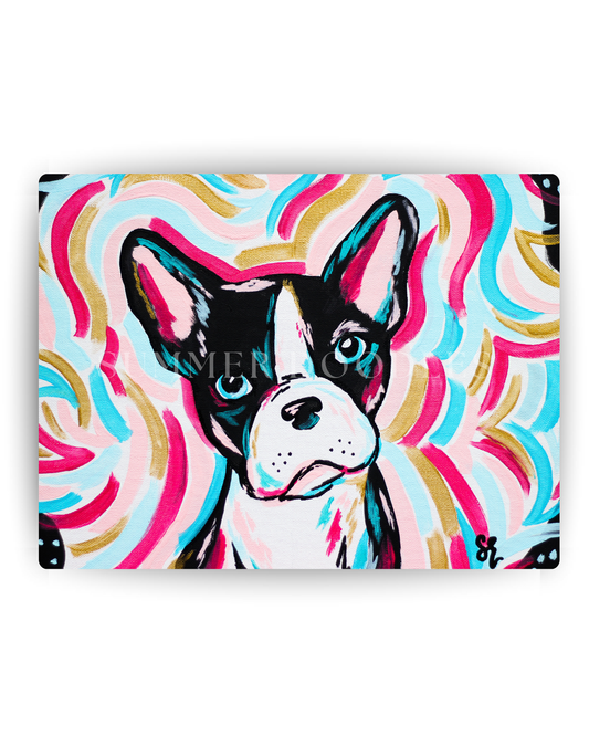 Boston Terrier