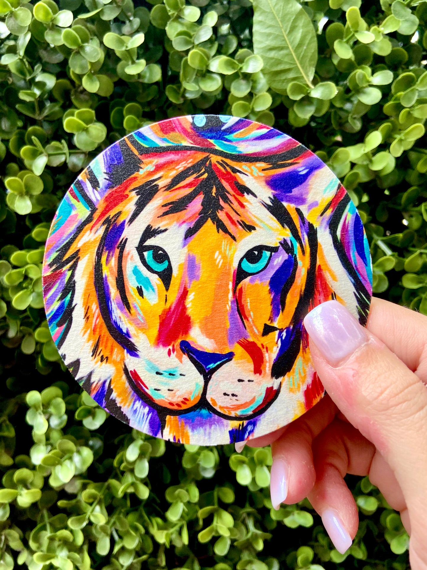 Tiger Stripes Coaster Set