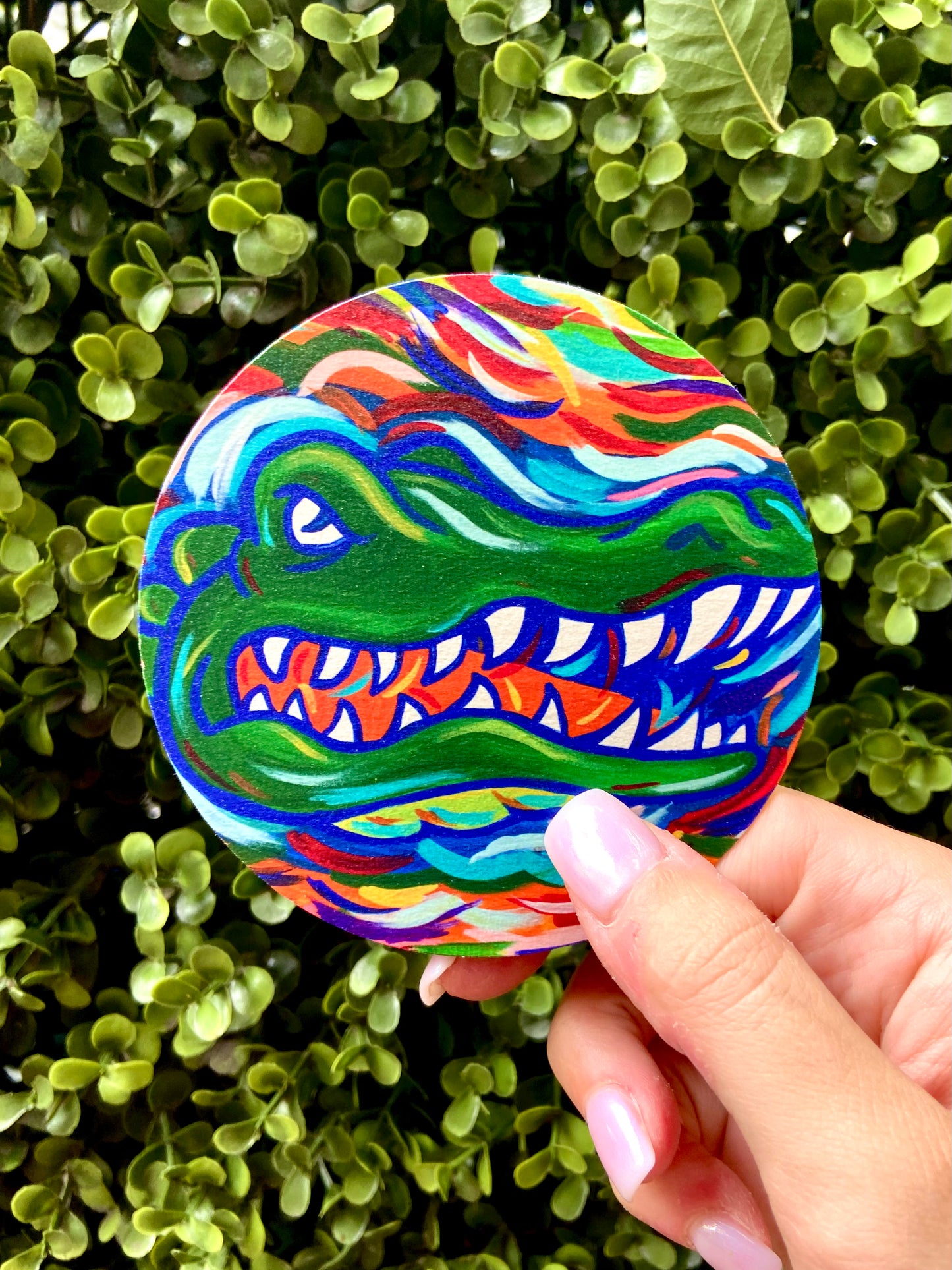 Florida Gators Coaster Set